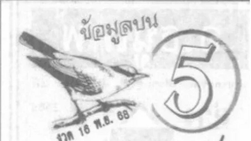 เลขเด็ด “นกตาทิพย์” งวด 16 พฤศจิกายน 2568 บินนำโชค เลขดังมาแรงห้ามพลาด!